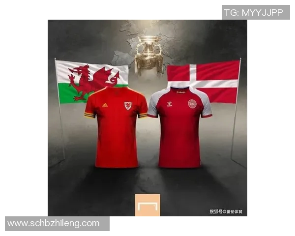 丹麦与法国足球对决的澳盘分析及投注建议详解