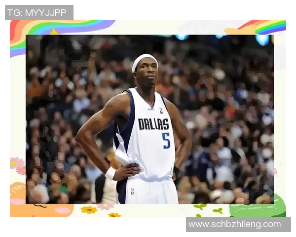 篮球明星从1到20的传奇故事与他们的辉煌成就解析